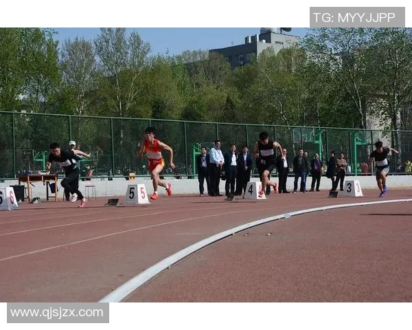 重庆足球队的蜕变与未来展望深度解析